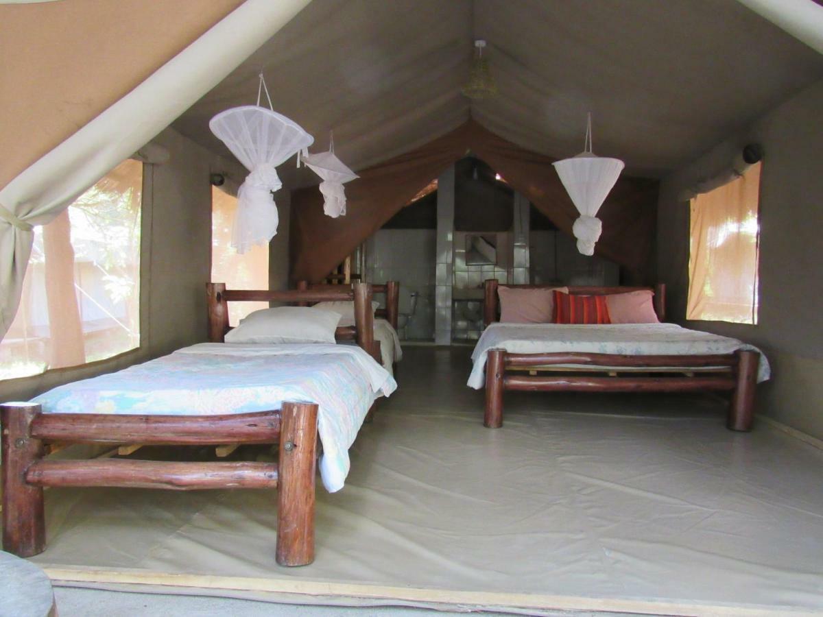 Отель Enchoro Wildlife Camp Ololaimutiek Экстерьер фото